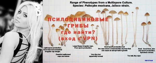 метадон Липки